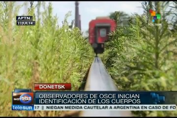 Inician labores de identificación de fallecidos en avión malasio