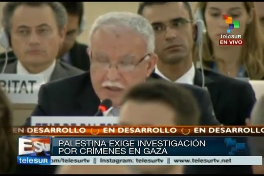 Palestina exige a la ONU que ponga fin a los ataques de Israel en Gaza