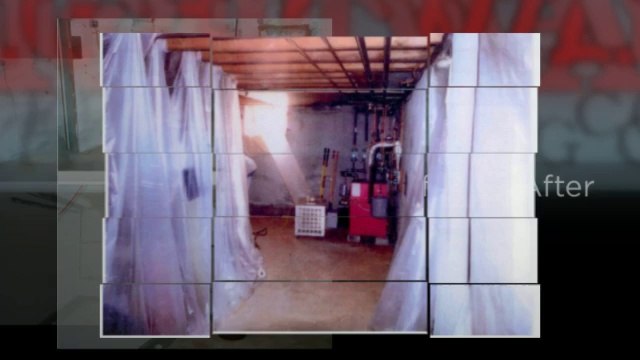 Black Mold Removal in NJ