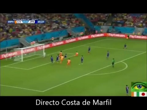 Goles Costa de Marfil Mundial Brasil 2014