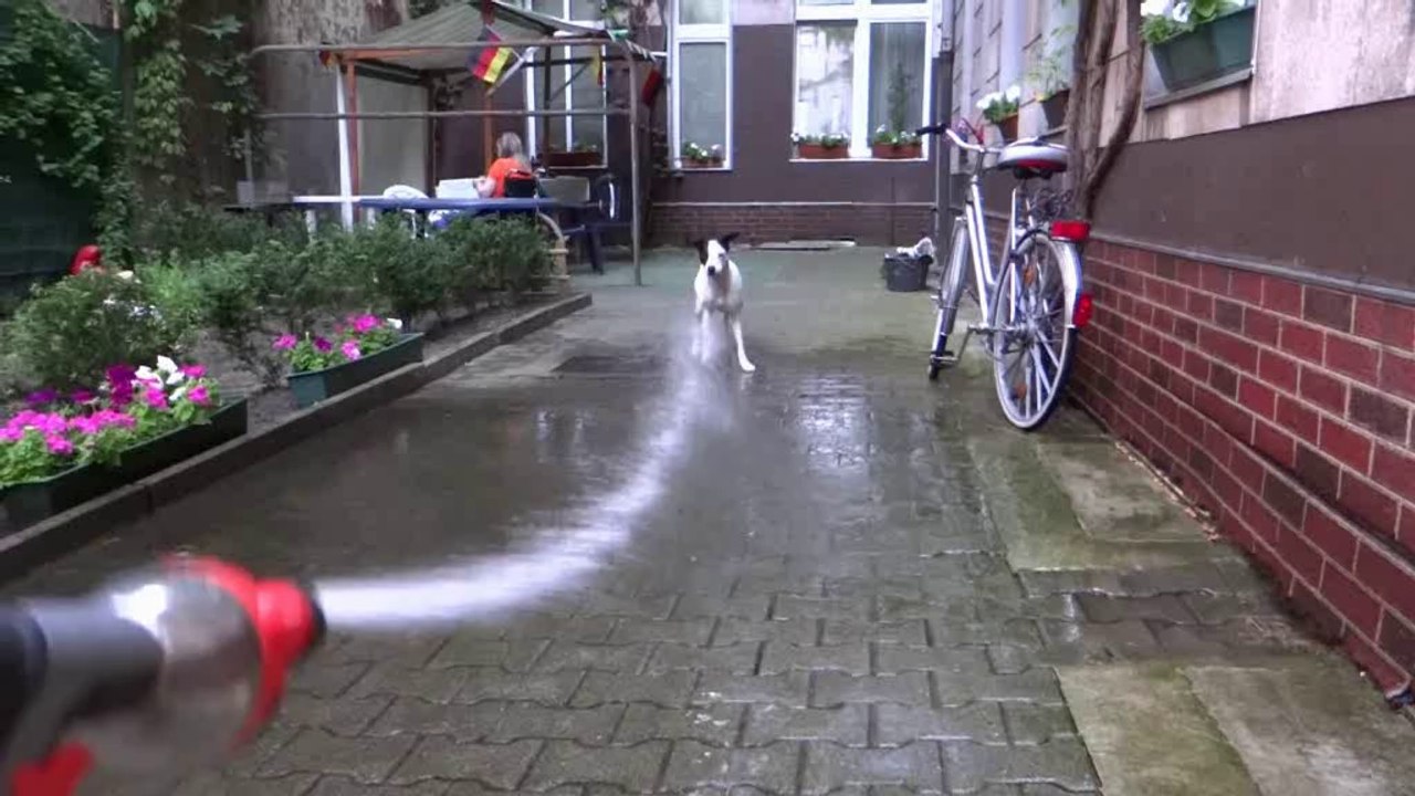 Kessy und die Wasser-Pistole