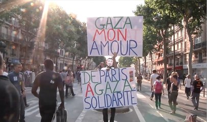 Manif pro-Gaza : "On n'est plus en phase avec les politiques et les médias"