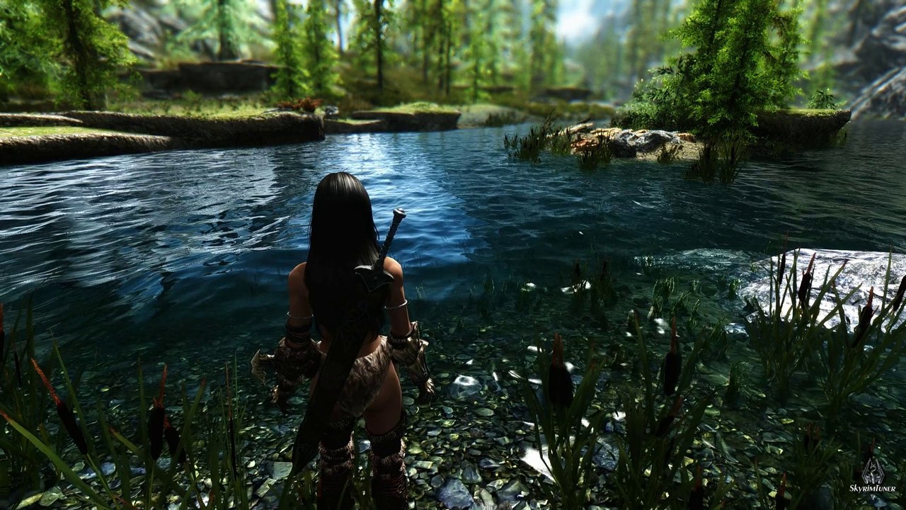TES - Skyrim - PureVision-ENB by SkyrimTuner