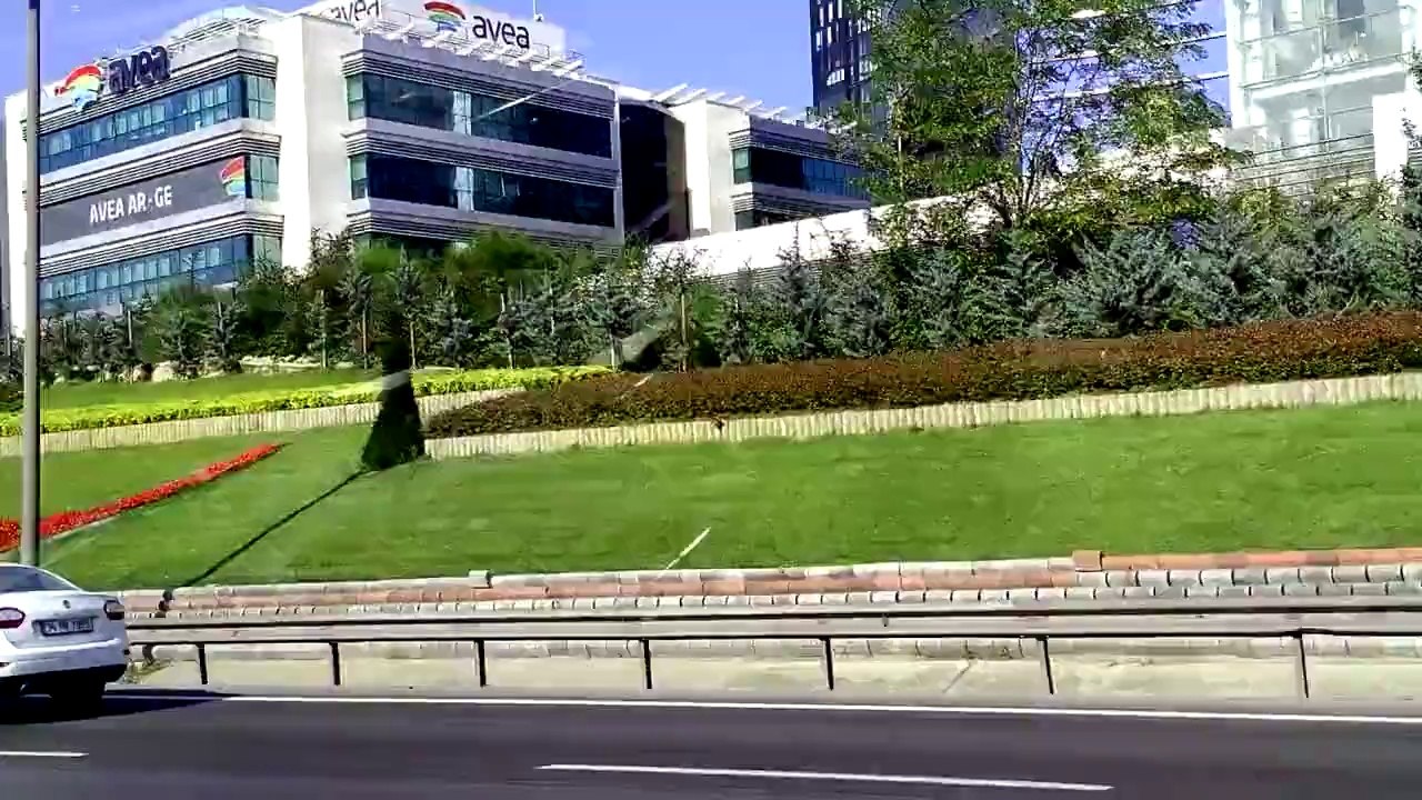 vıv.