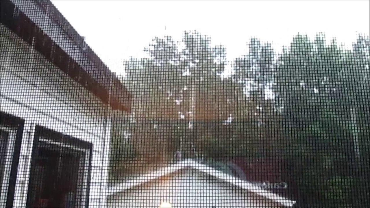 Thunder Crash