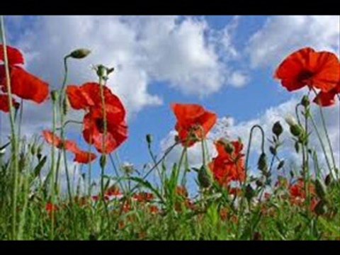 Le temps du muguet (Francis Lemarque Cover)