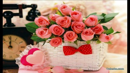 Aaina Aaina Tu Bata De Zara - Anuradha Paudwal - Junoon (1992)