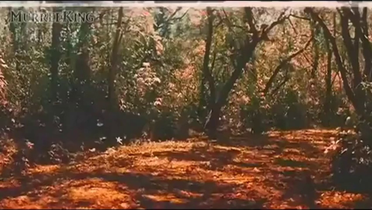 Dheere Dheere Aap Mere - Udit Narayan, Sadhana Sargam - Baazi (1995)