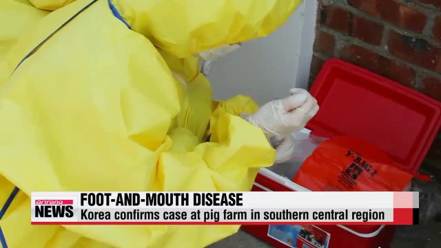 Korea confirms case of foot-and-mouth disease at pig farm