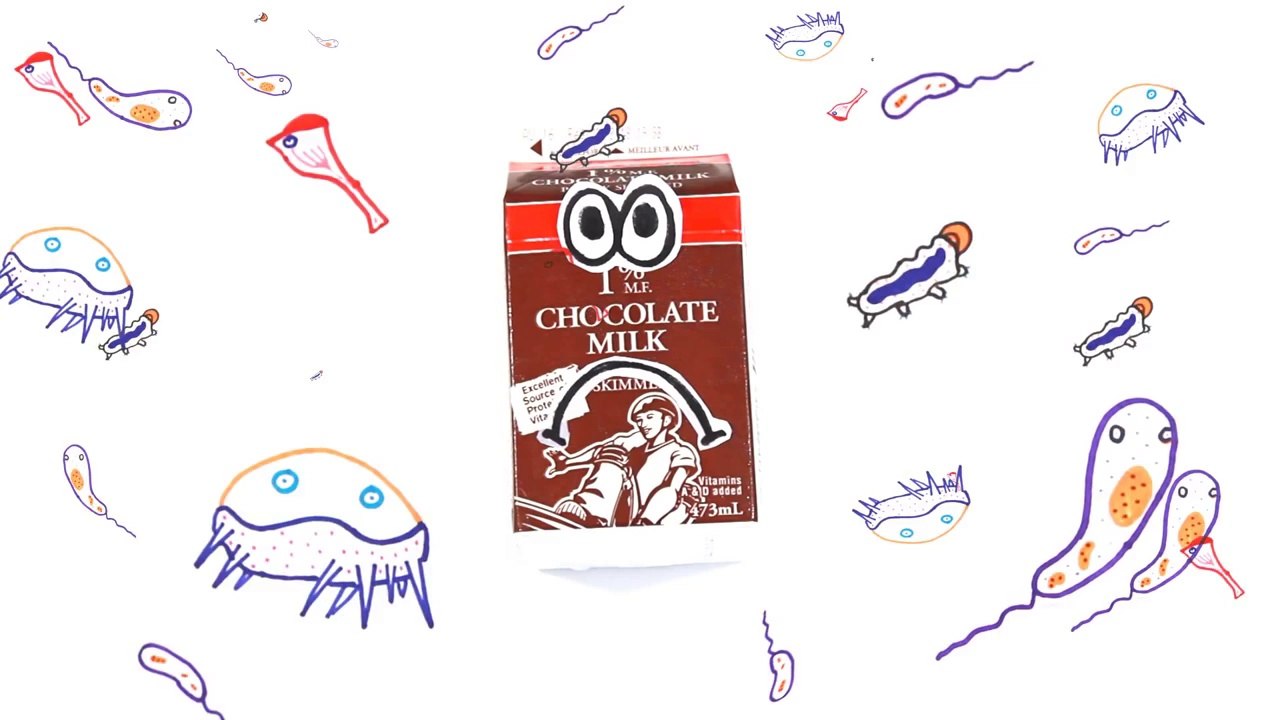 The Poop Cycle