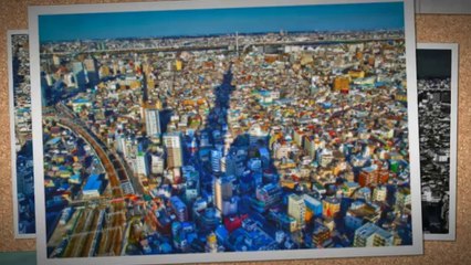 Vietnam and Japan Travel by Brian Cometa