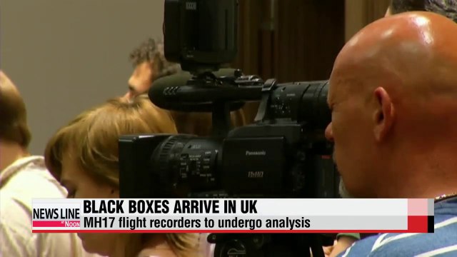 2 Ukrainian fighter jets shot down near MH17 crash site