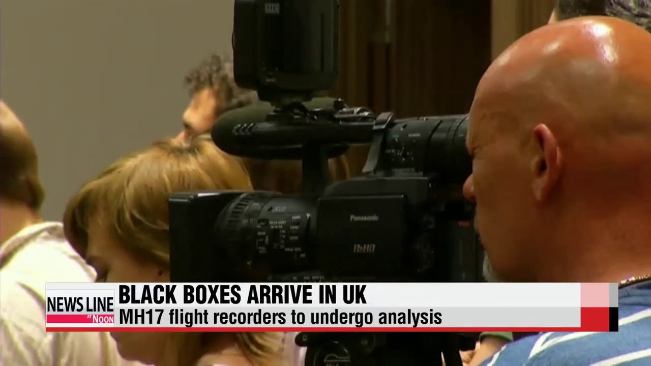 2 Ukrainian fighter jets shot down near MH17 crash site