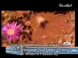ma'allah(with ALLAH) nasheed by Mishary Al-Afasy with lyrics in english