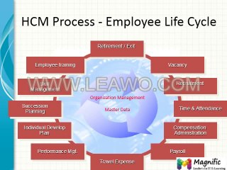 SAP hcm Online Training by real time Trainer in USA ,uk,mumbai