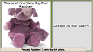 Consumer Reviews Gund Bebe Dog Plush Raspberry