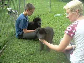 23 juillet 2014 (3) : 7 semaines