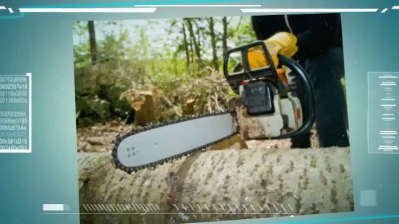 JJMLL Tree & Landscaping Services (206) 931-3558