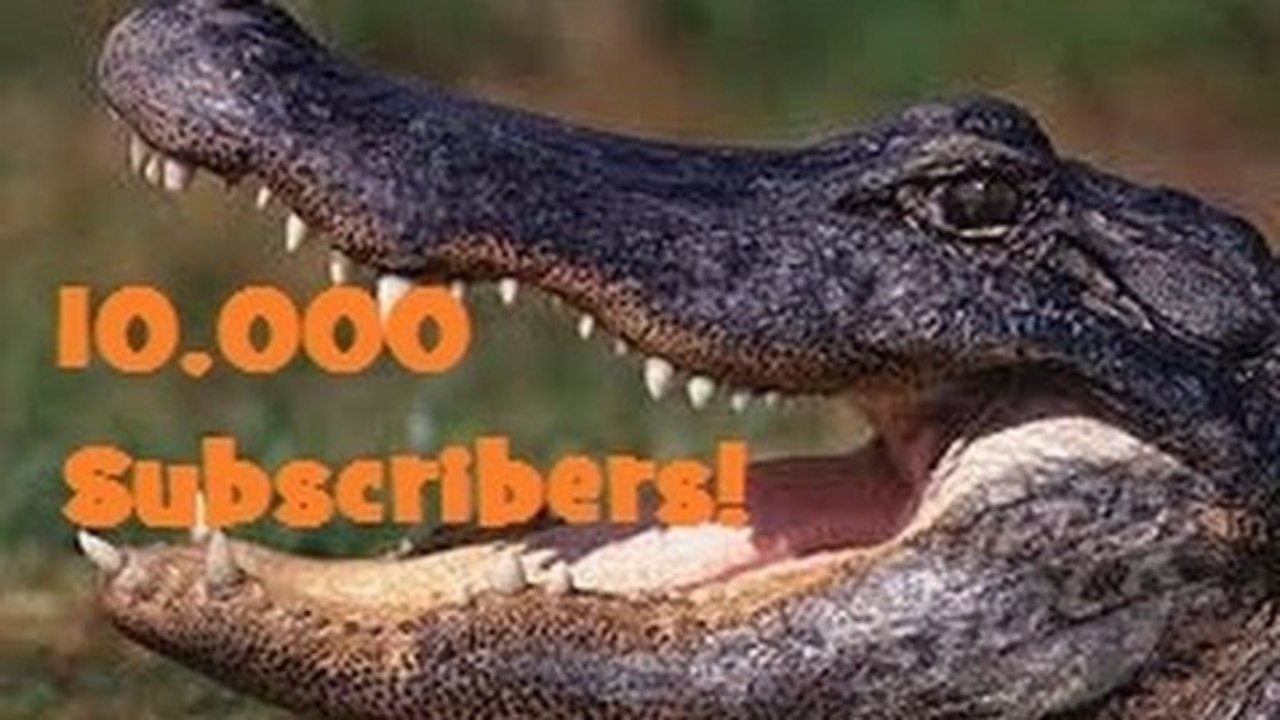 10,000 Subscribers!