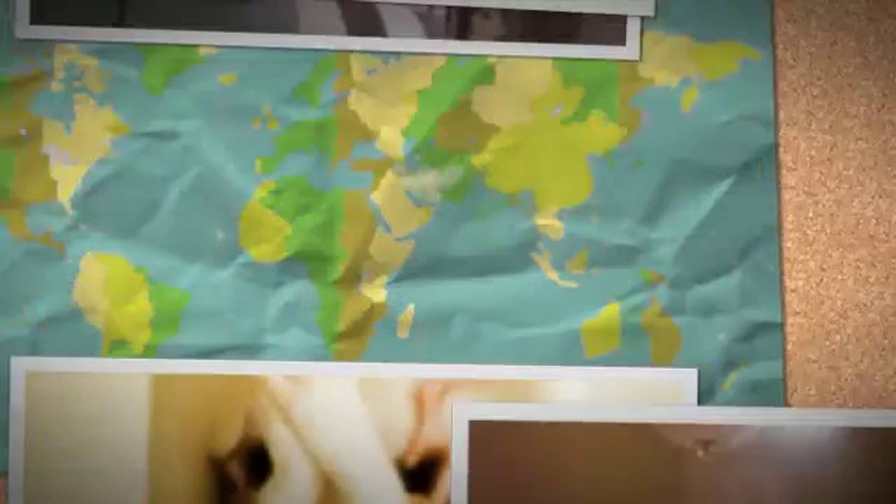 Find Best Flea Markets, Storytelling Blogs & indie stuff to do in NYK