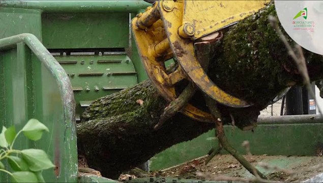 Le bois énergie dans le Tarn