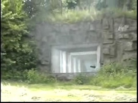 Tir canon 75 Reuenthal