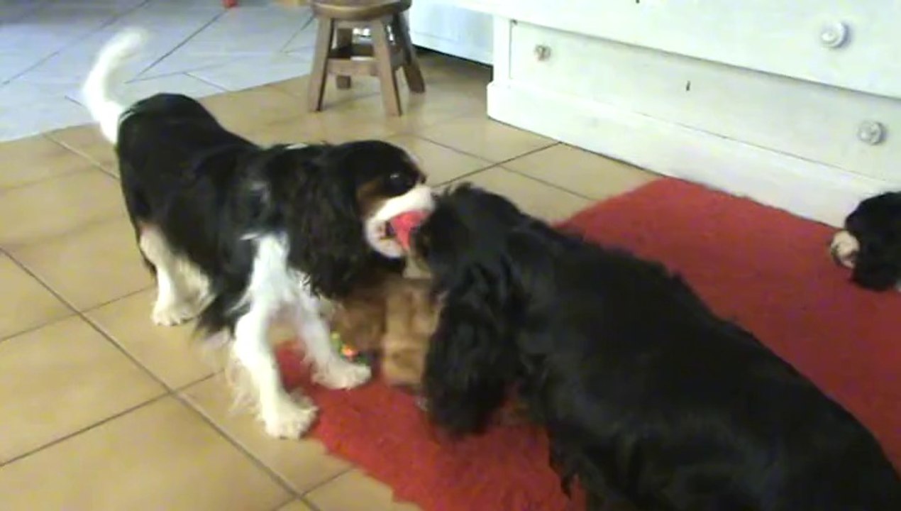 Duel Isco 10 mois et Bettina