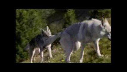 Campagna ''Non bruciare il tuo futuro'' (23.07.14)