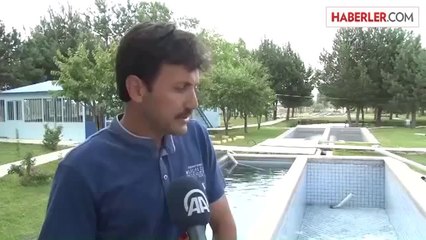 Üniversitede yılda 1 milyon yavru balık üretiyorlar -