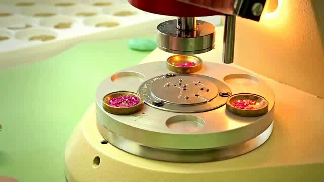 Look over the watchmakers' shoulders