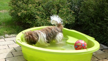 Jade dans son bain