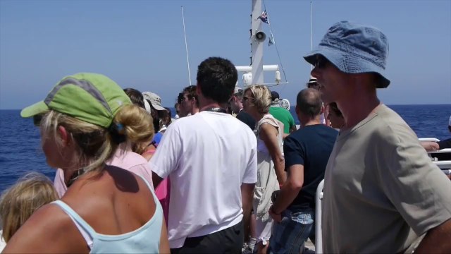 A la rencontre des cétacés (baleines)