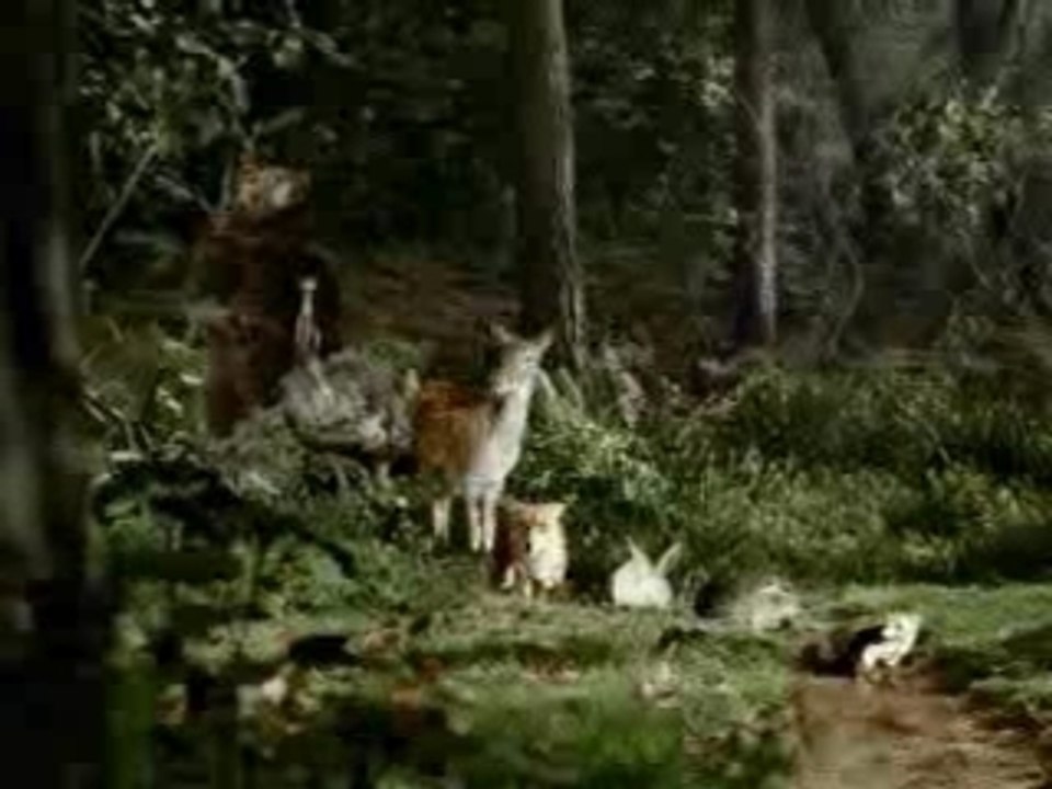 Dieren oversteek plaats.