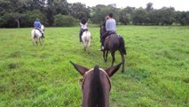 Costa Rica Horseback Tour