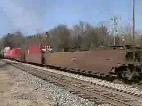 NS #204 W/ #8843 Leading