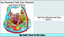 Consumer Reports Galt Toys Playnest and Gym (Farm)