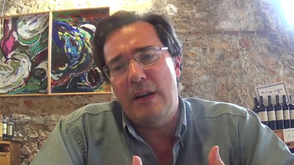 Olivier Rouquan "la réforme territoriale, la figure du président de la république" interview par Nicolas Caudeville