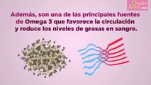 Propiedades de las semillas de chía para adelgazar - Para qué sirve la chía si estás a dieta