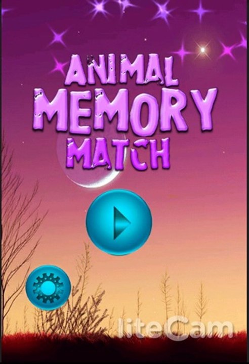 Animal Memory Match