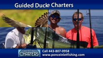 New Smyrna Beach Charter Fishing | Ponce Inlet Fishing Charters