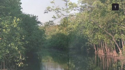 Eldorado Surf Panama