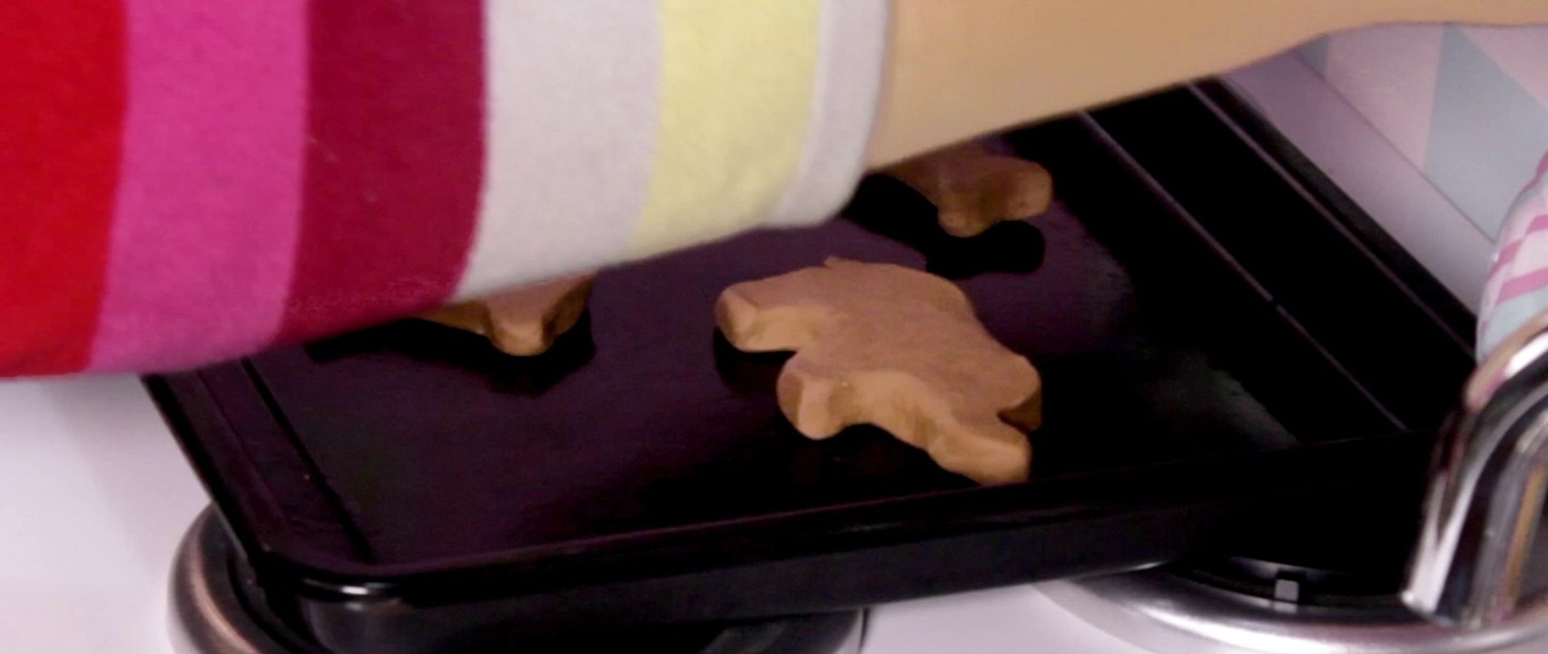 Animal Cookies