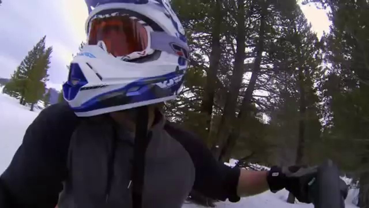 Avalanche Sharks trailer