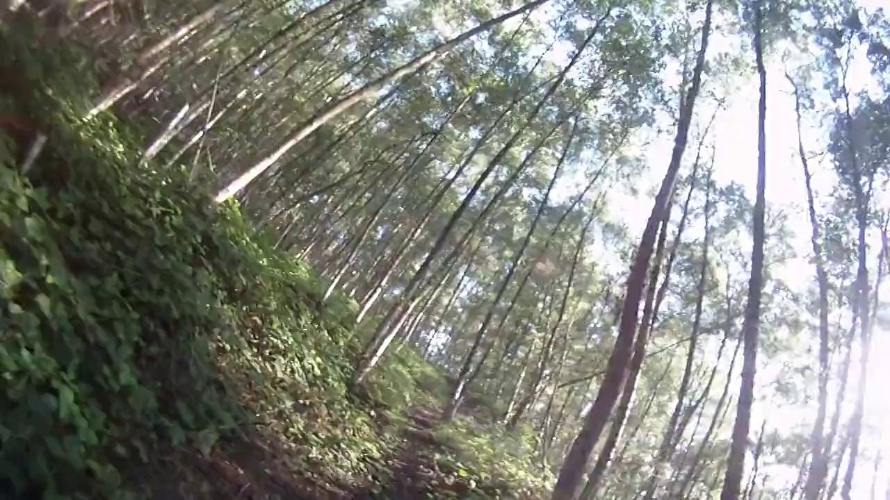 petite déscente du terril