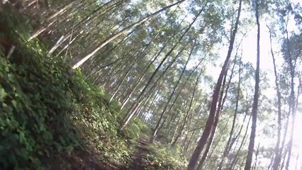 petite déscente du terril