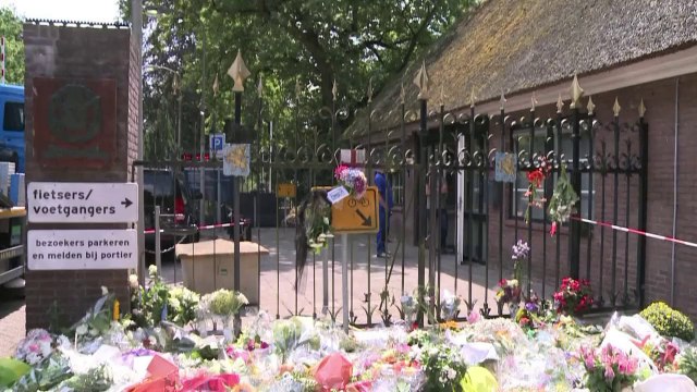 More MH17 bodies arrive in Netherlands