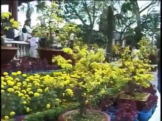 The Bells - Ngày Tết quê em (Tết Saigon Đón Nàng Xuân)