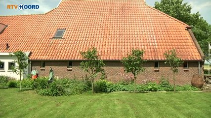 Download Video: Beven op de Bult: Als er een aardbeving is, zit ik te gillen van plezier [24-7-2014] - RTV Noord