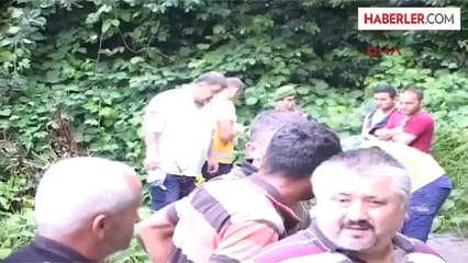 Ağaç Traktörün Üzerine Devrildi: 6 Ölü, 15 Yaralı