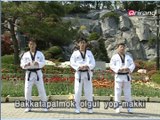 Taekwondo Step by Step Ep021